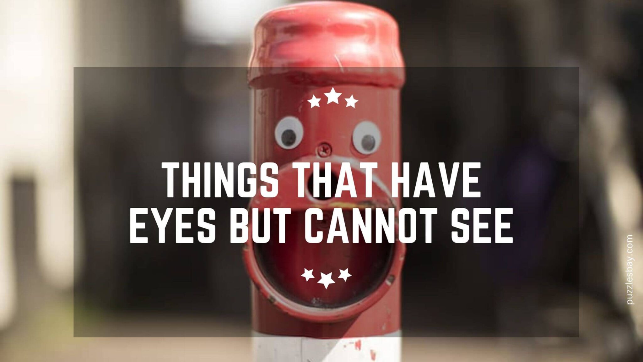 10 Things That Have Eyes but Cannot See (Possible Answers to What Has